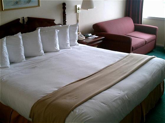 Econo Lodge Inn & Suites Triadelphia - Wheeling Номер фото